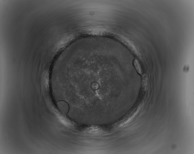 X0000100490589200806201654