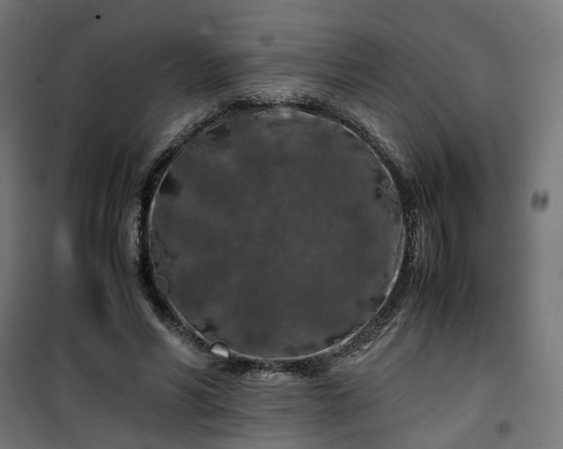 X0000100490590200806201654