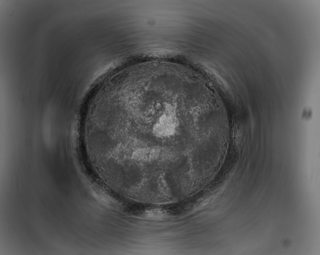 X0000100490591200806201654
