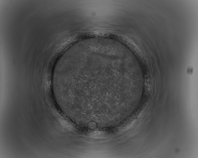 X0000100490593200806201654