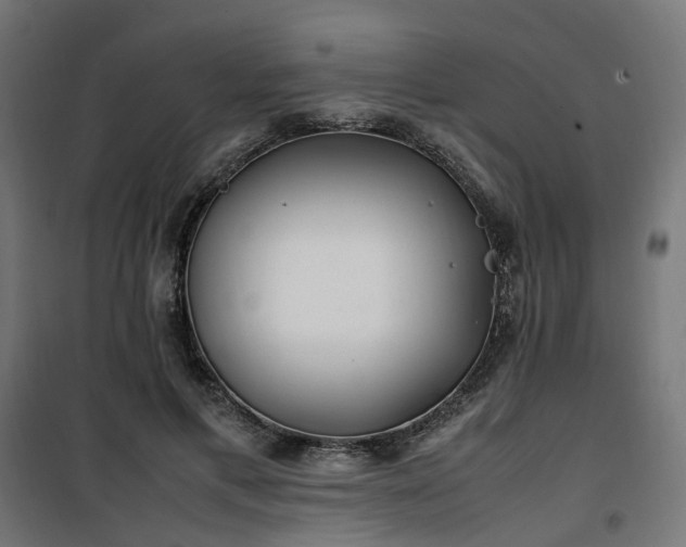 X0000100490597200806201654