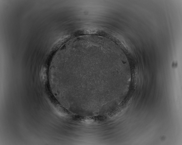 X0000100490598200806201654