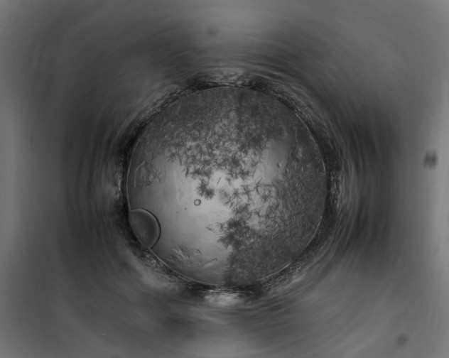 X0000100490602200806201654