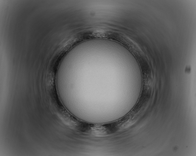 X0000100490603200806201654