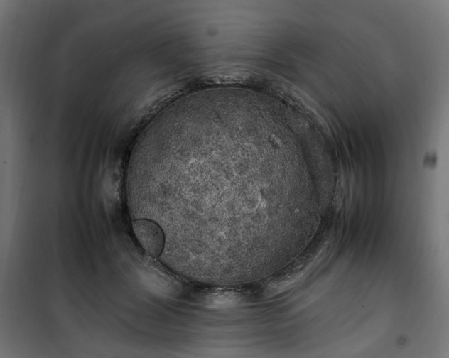 X0000100490604200806201654