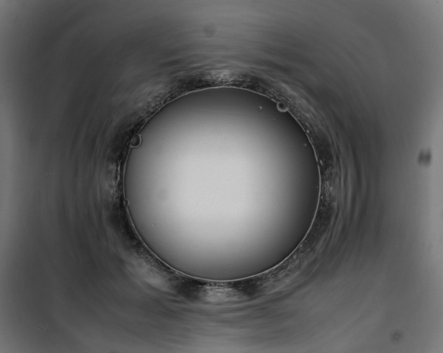 X0000100490605200806201654