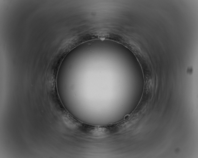 X0000100490609200806201654