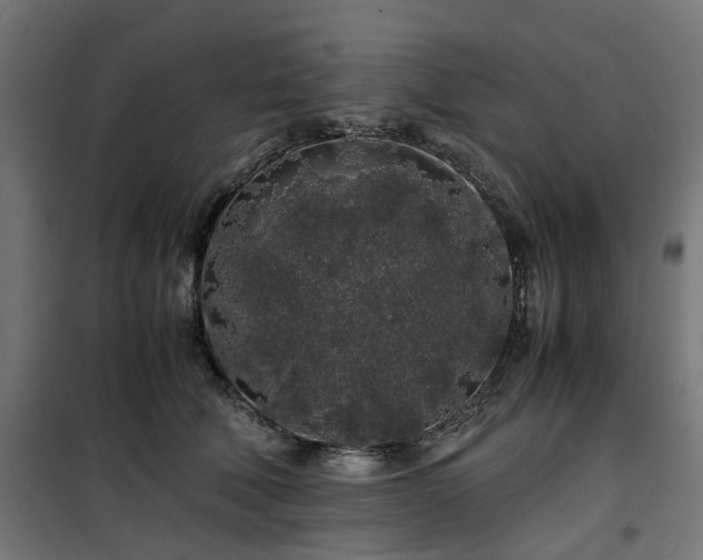 X0000100490610200806201654