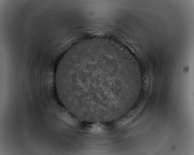 X0000100490612200806201654