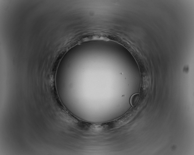 X0000100490613200806201654