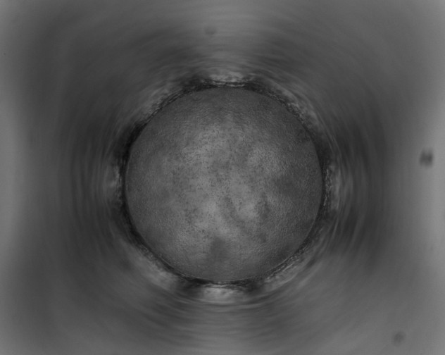 X0000100490614200806201654