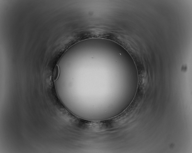 X0000100490615200806201654