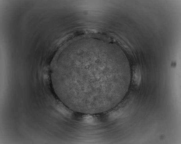 X0000100490616200806201654