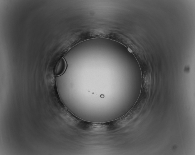 X0000100490617200806201654