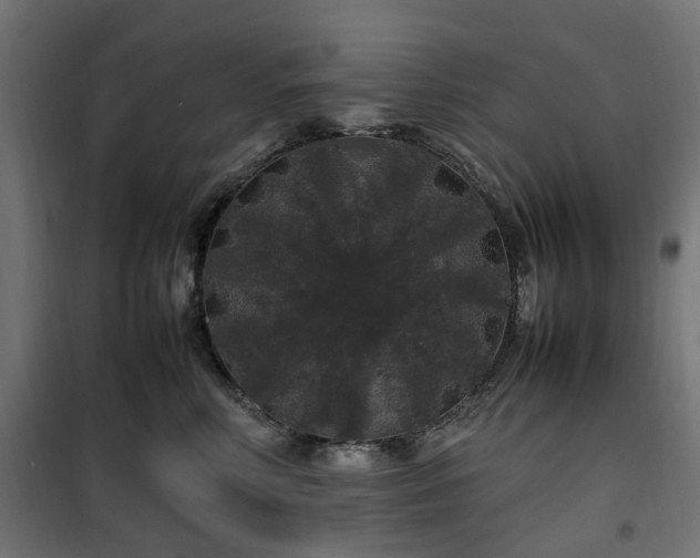 X0000100490618200806201654