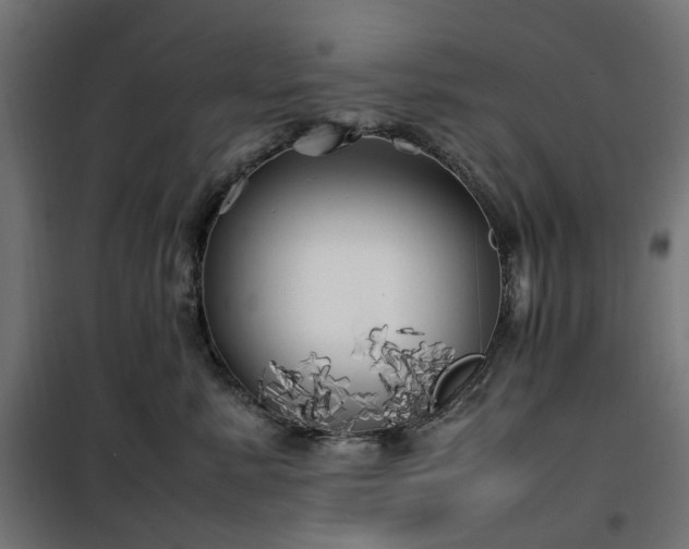 X0000100490619200806201654