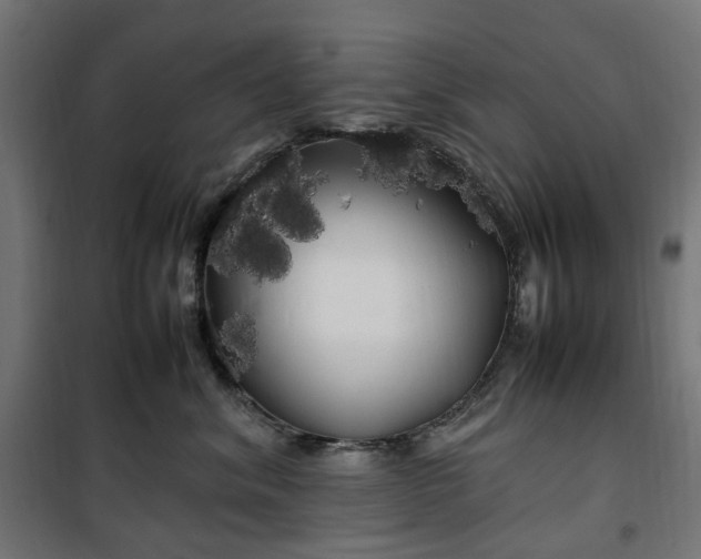 X0000100490620200806201654