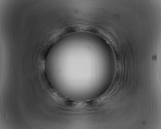 X0000100490621200806201654