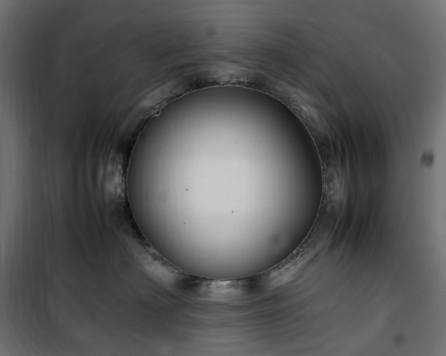 X0000100490622200806201654