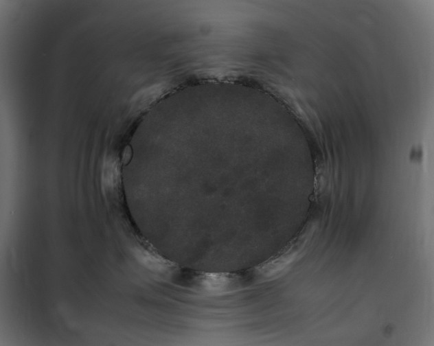 X0000100490623200806201654