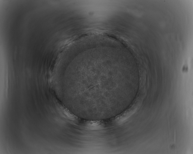 X0000100490624200806201654