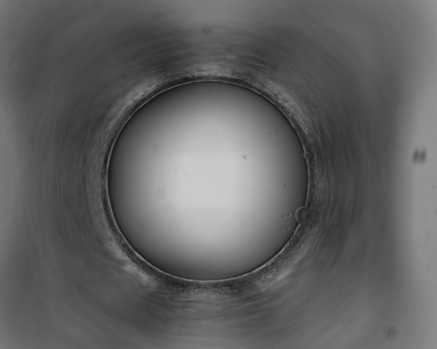 X0000100490625200806201653