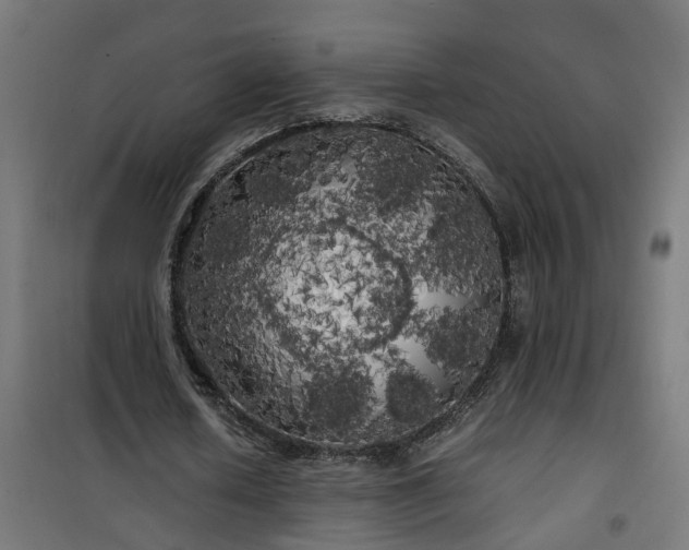 X0000100490626200806201653
