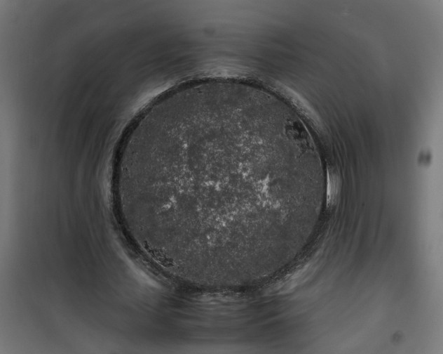 X0000100490627200806201653