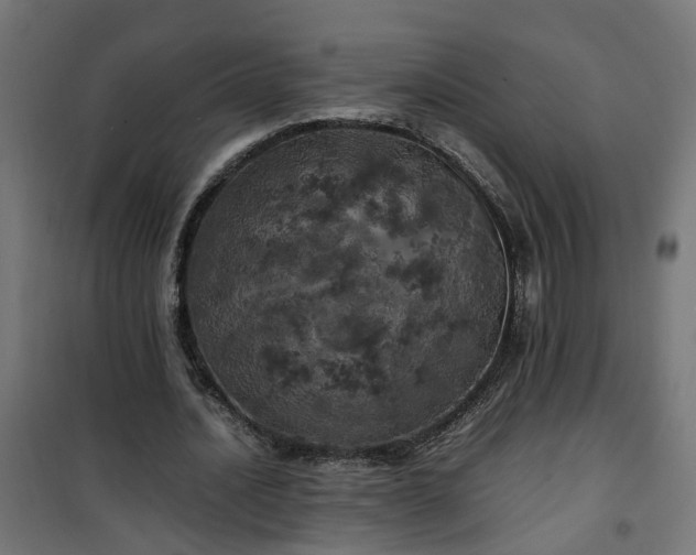 X0000100490628200806201653