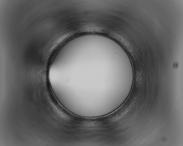 X0000100490629200806201653