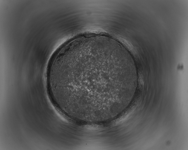 X0000100490630200806201653