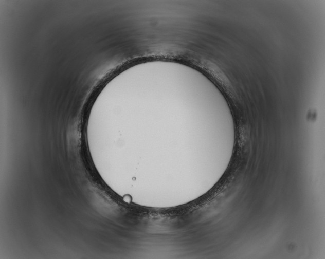 X0000100490632200806201653
