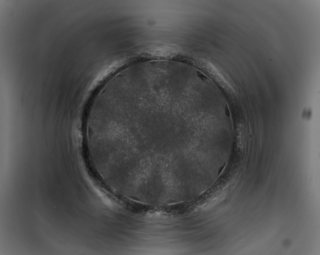 X0000100490634200806201653