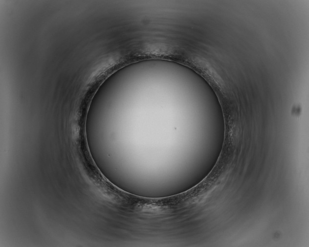 X0000100490635200806201653
