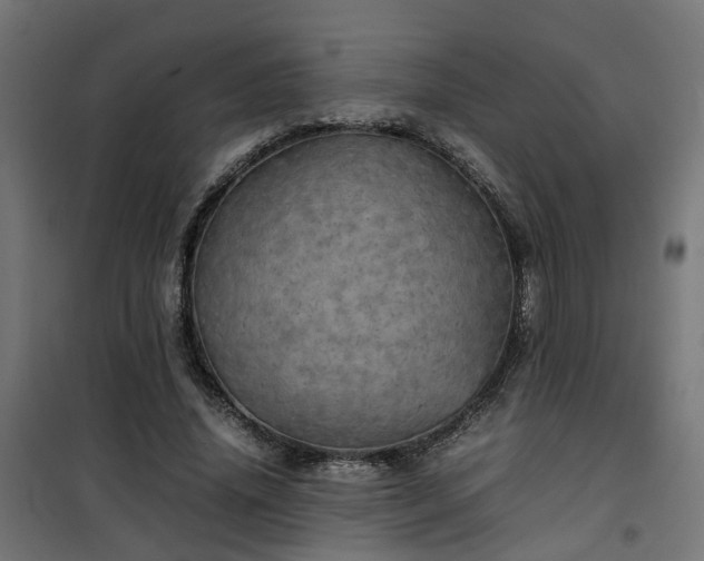 X0000100490636200806201653
