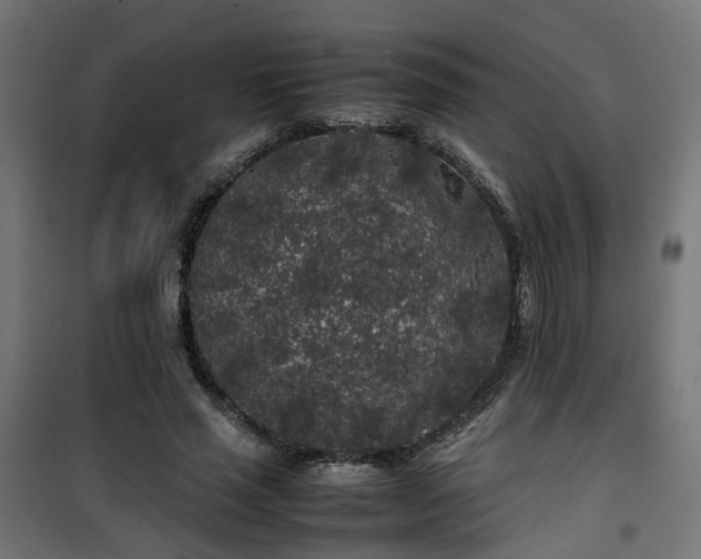 X0000100490637200806201653
