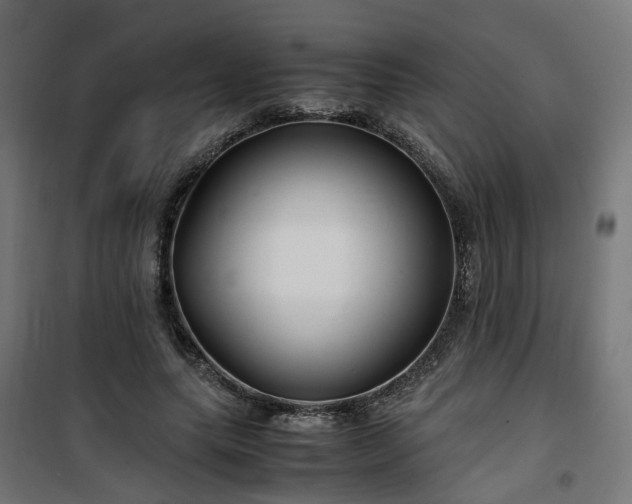 X0000100490639200806201653