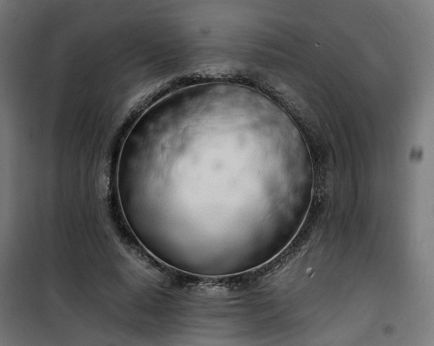 X0000100490640200806201653