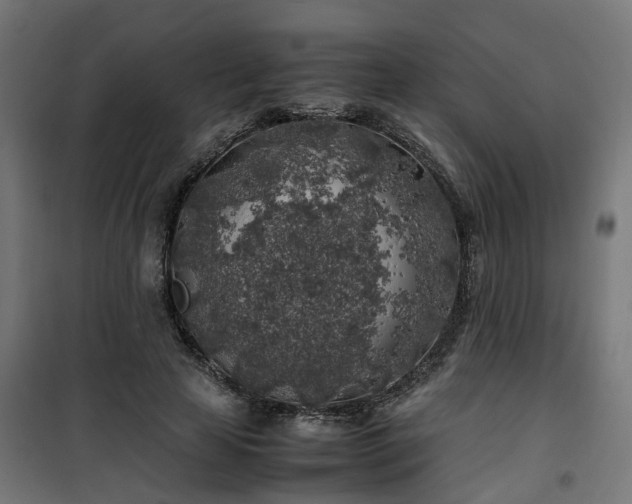 X0000100490641200806201653