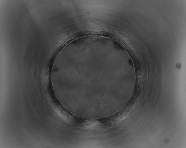 X0000100490642200806201653