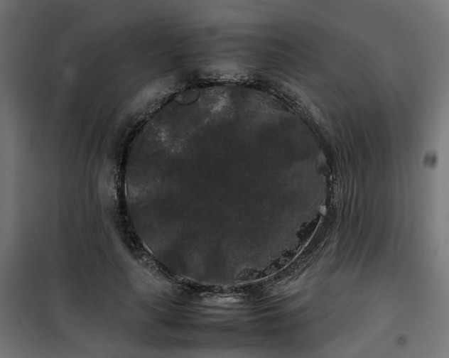 X0000100490643200806201653