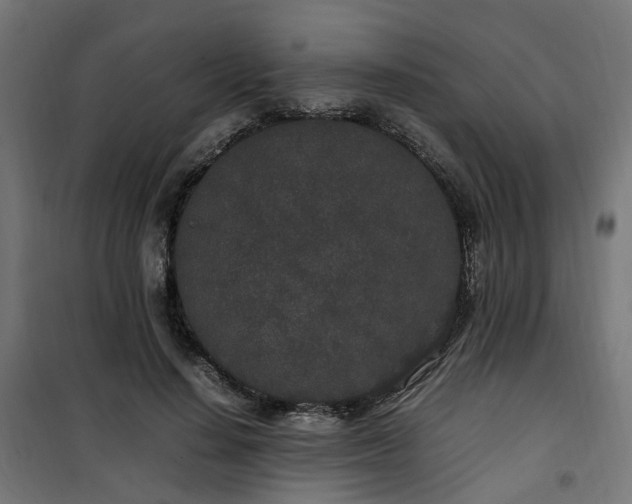 X0000100490644200806201653