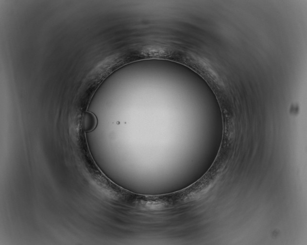 X0000100490645200806201653