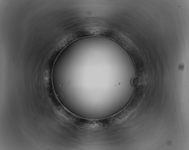 X0000100490646200806201653