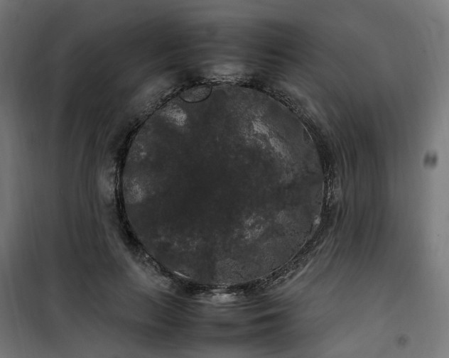 X0000100490647200806201653