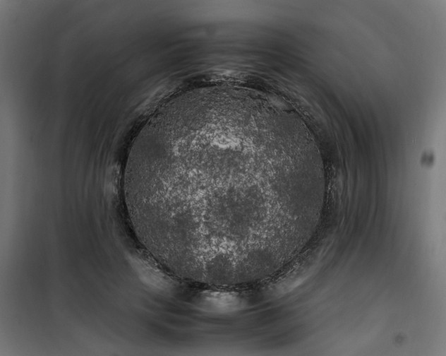 X0000100490649200806201653
