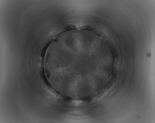 X0000100490650200806201653