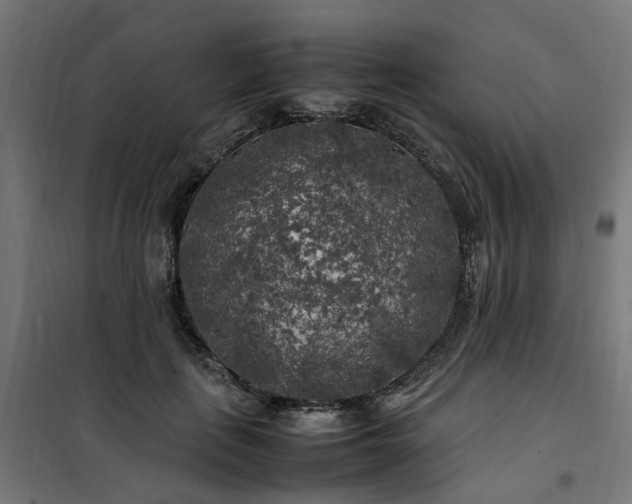 X0000100490651200806201653