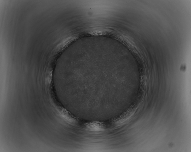 X0000100490652200806201654