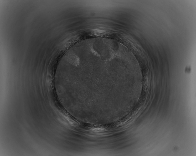 X0000100490653200806201654